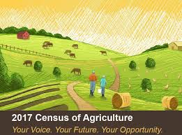 Census of Agriculture Graphic