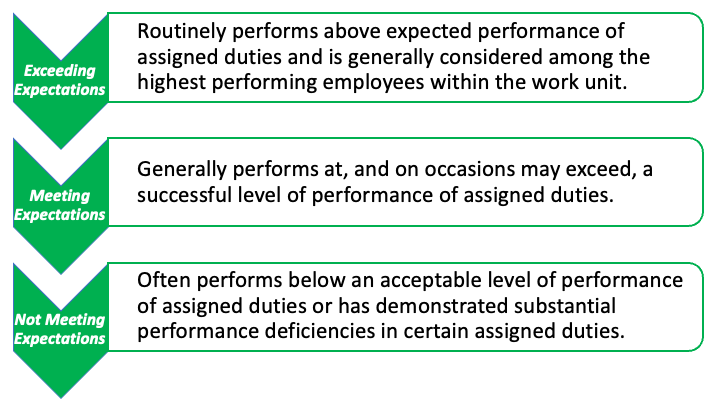 performance rating scale